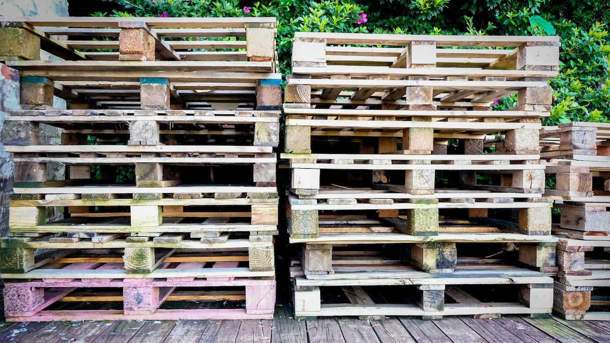 Cartagena recibe la primera línea automatizada de ensamble de estibas en Colombia