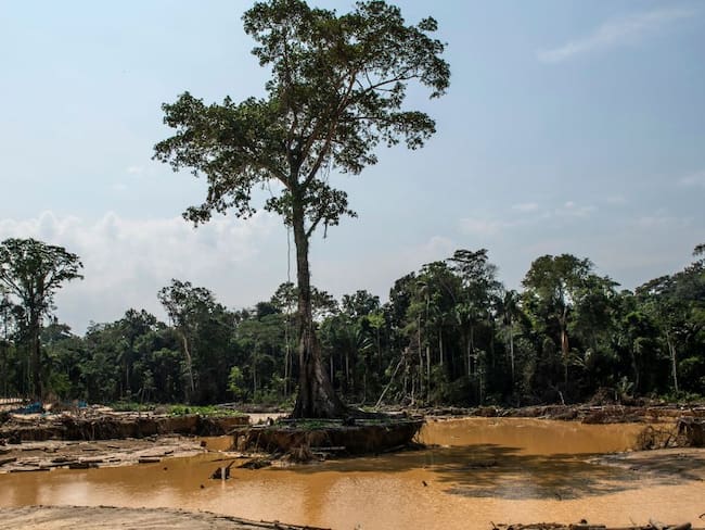 Se tomarán acciones para proteger al Amazonas de las inundaciones