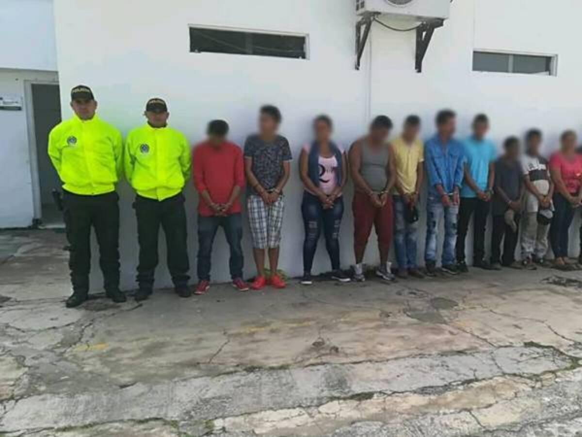 Cae peligrosa banda delincuencial dedicada al tráfico de estupefacientes