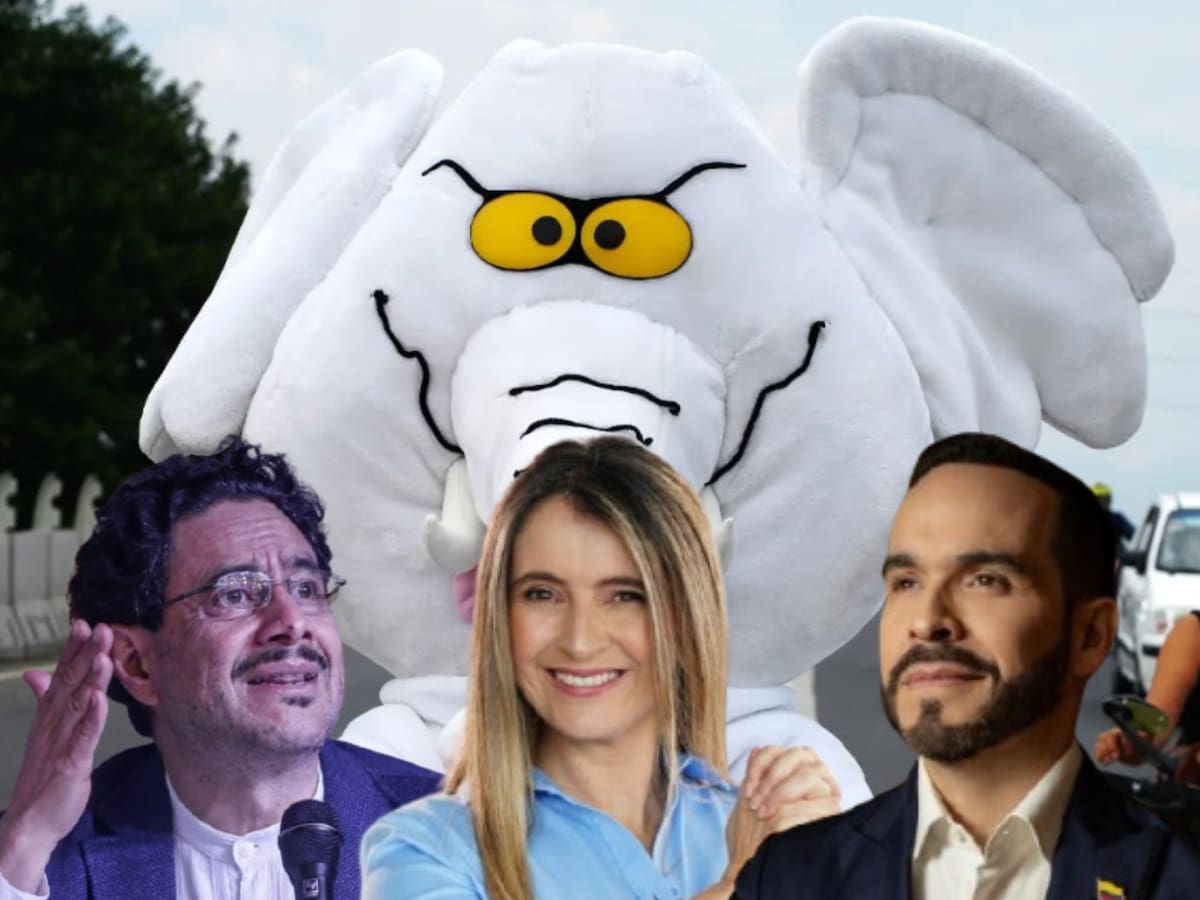 ¿Cuál es el candidato presidencial de ‘El Elefante’? Advirtió que le hará veeduría: “ese es mi rol”