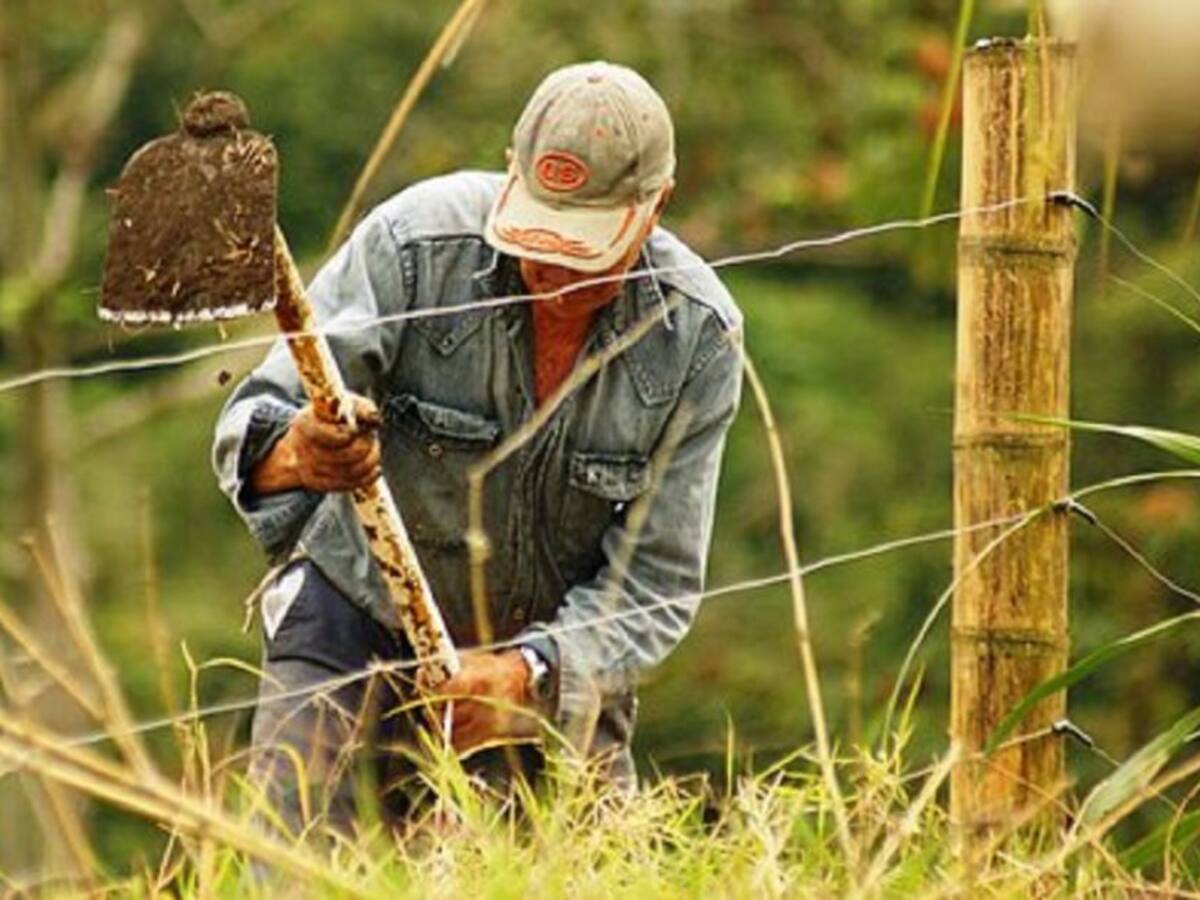 En el Tolima le apuestan a PazAlCampo