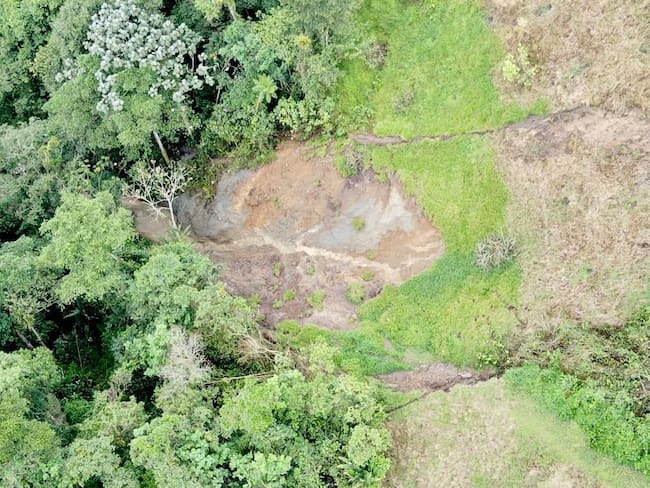 Oficial Alcaldía de Pereira