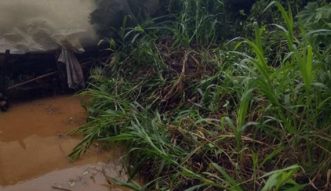 Foto: Secretaría de Medio Ambiente de Caldas. 