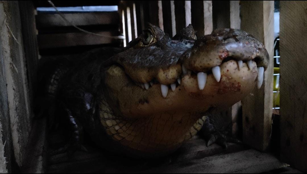 Corporación Autónoma Regional del Sur de Bolívar (CSB)