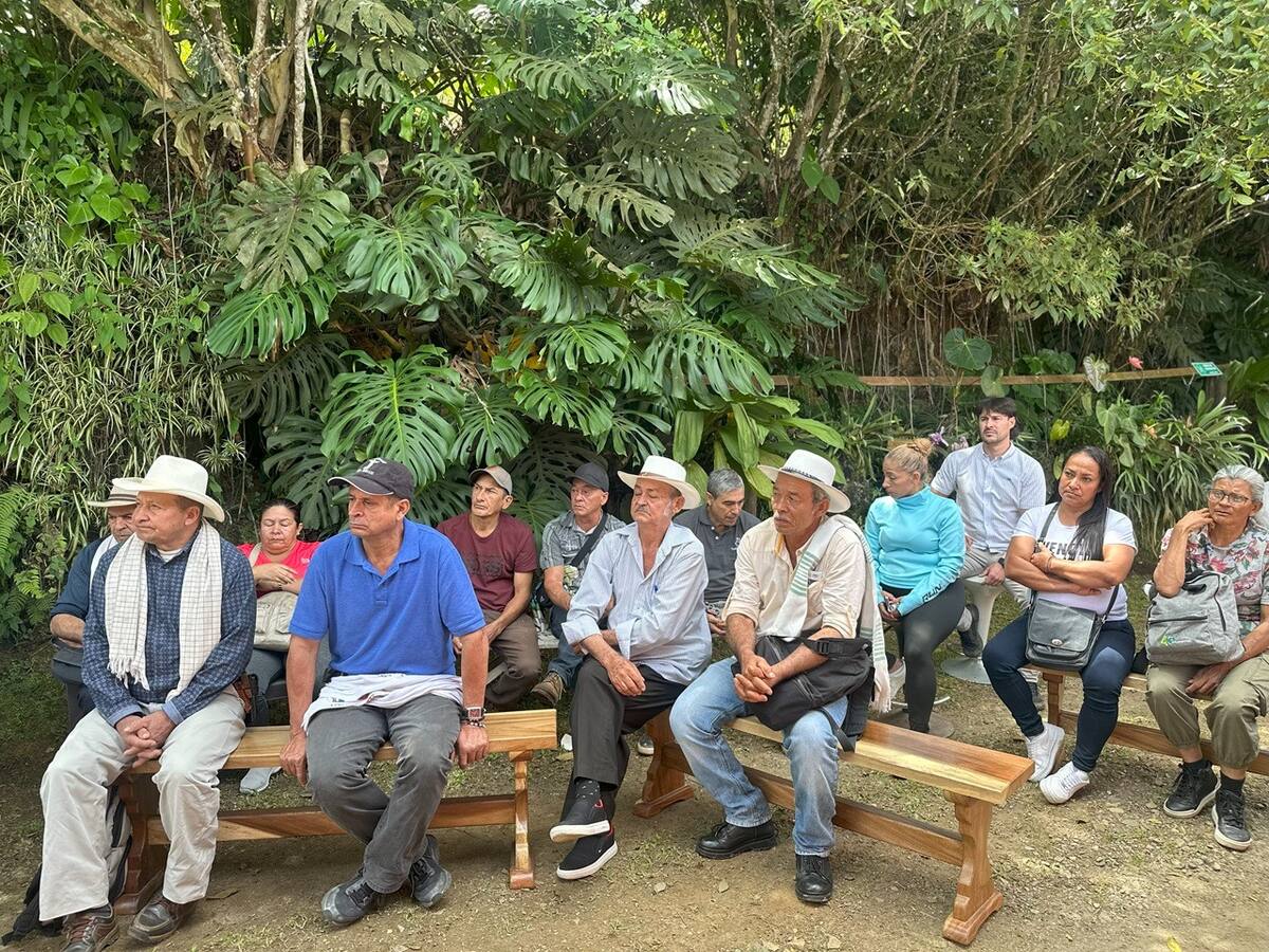 Medellín impulsa la transformación de la caficultura en sus corregimientos