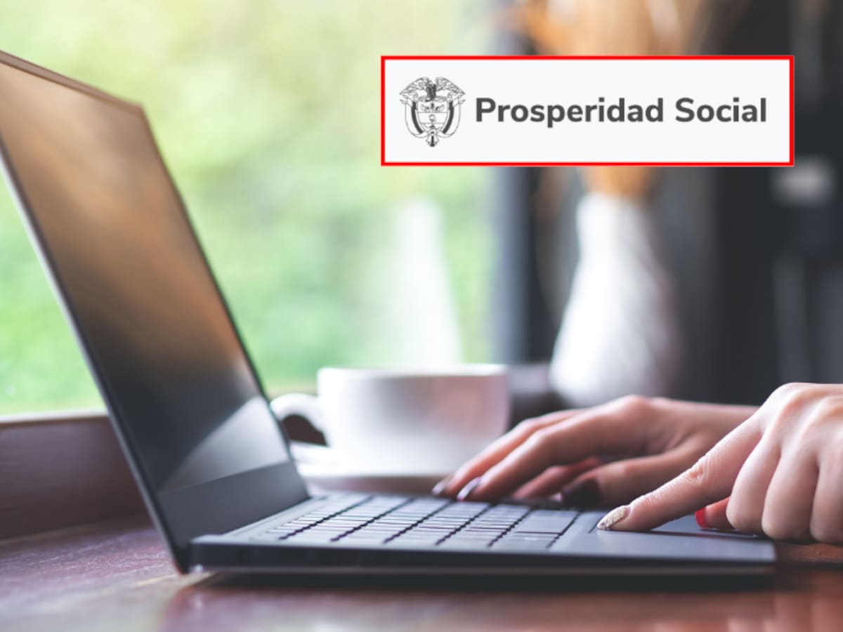 Paso a paso para saber si es beneficiario del programa “Colombia Sin Hambre”