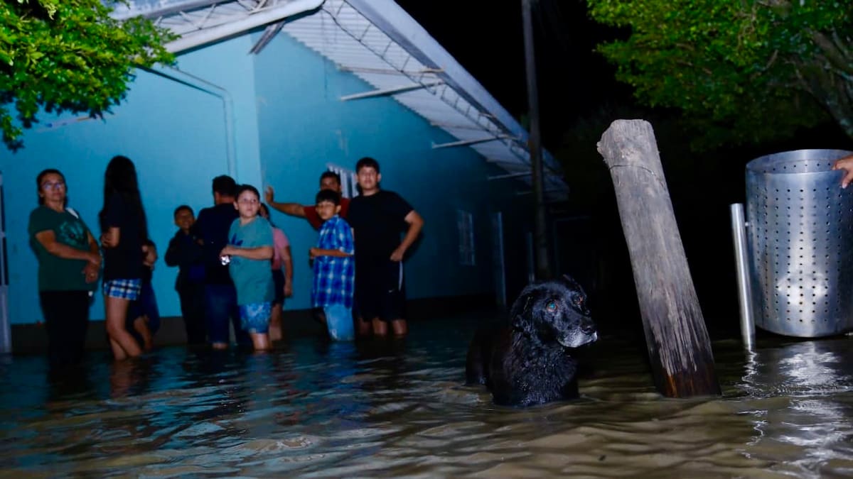Ejército apoya evacuaciones en Casanare: San Luis de Palenque está inundado en un 80%