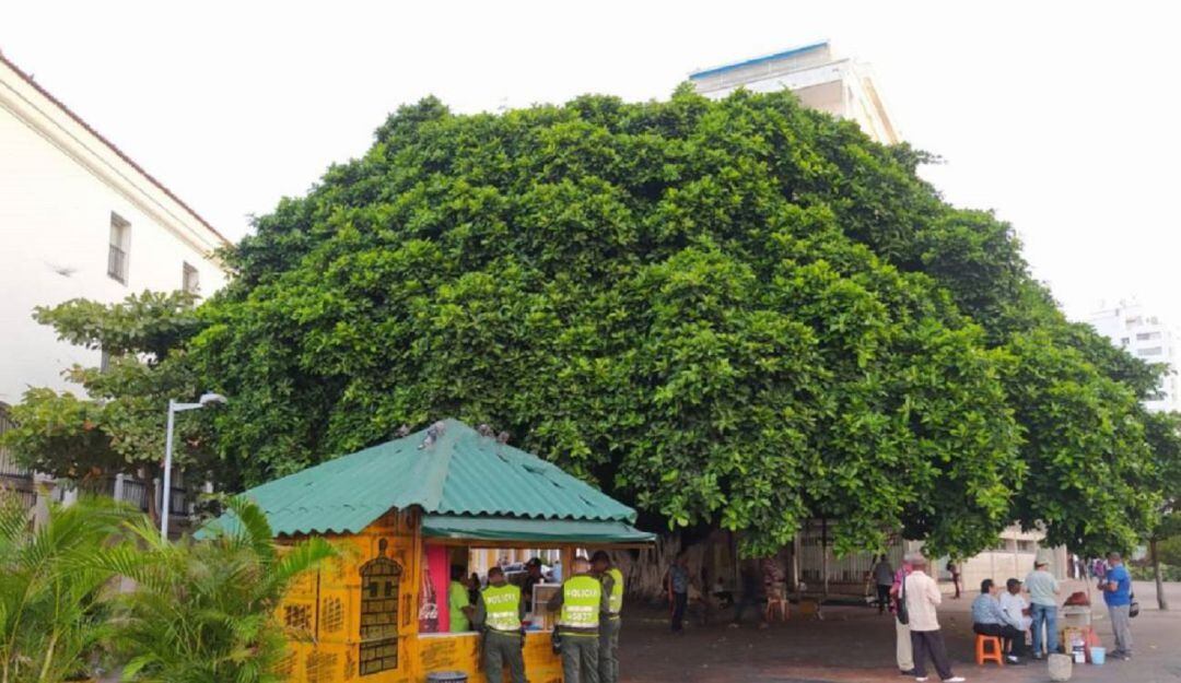 La fecha de presentación de ofertas va hasta el próximo 15 de junio y pretende recuperar 26 metros cuadrados de este tradicional espacio