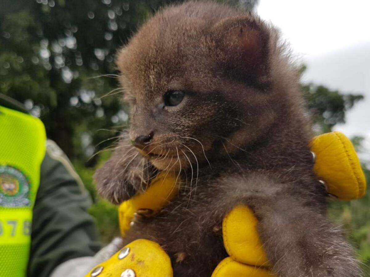 Jueves 14 de mayo, las noticias más importantes de Armenia y el Quindío