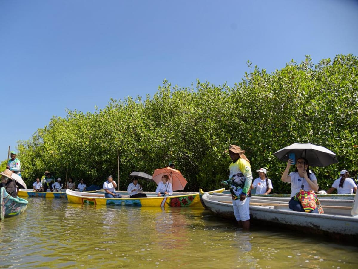 Distrito de Cartagena promueve Ruta Ecoturística y Comunitaria de La Boquilla