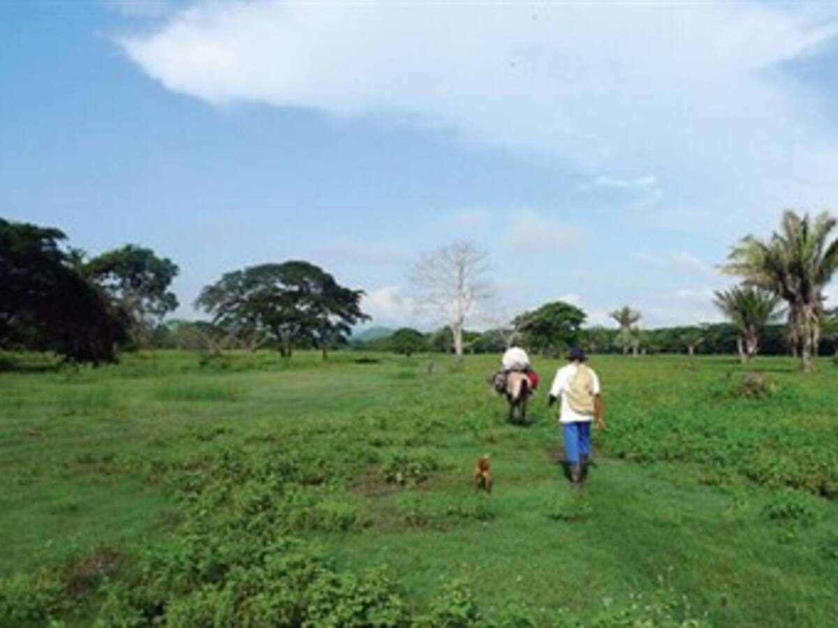 Campesinos, preocupados por petición de aplazamiento de zona de reserva