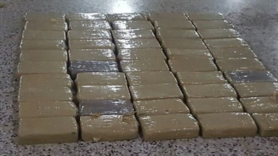 Desmantelan organización que envía cocaína a Estados Unidos, España y Suramérica. Foto: Colprensa