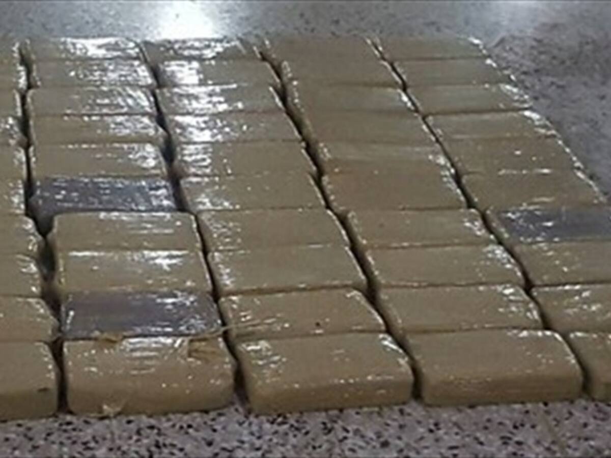 Desmantelan organización que envía cocaína a Estados Unidos, España y Suramérica