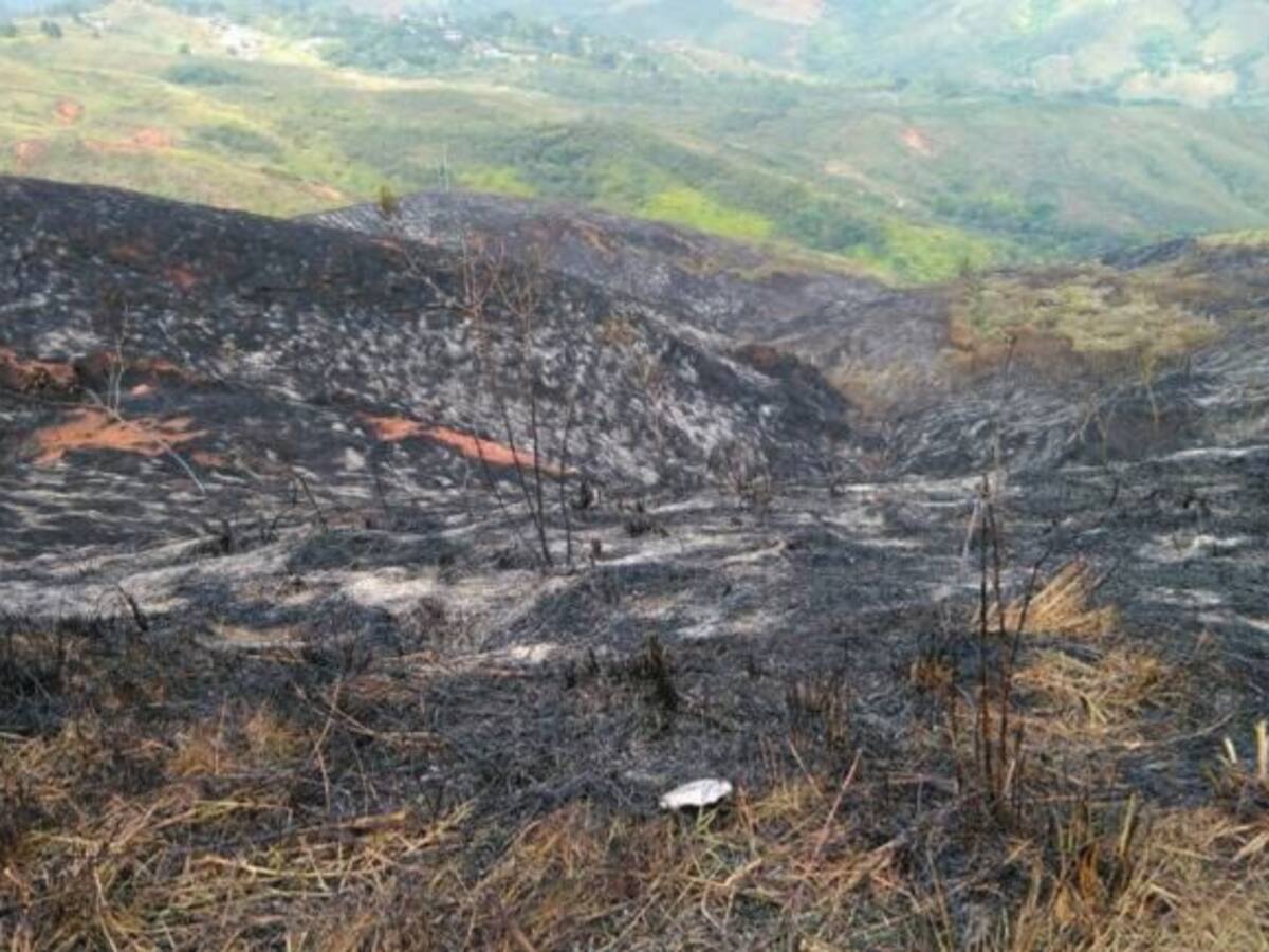 Cali se prepara nuevamente para recuperar el Cerro de Cristo Rey