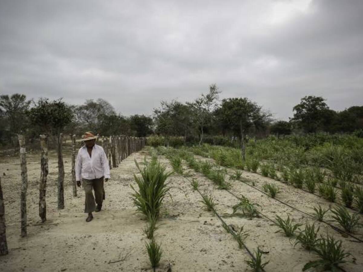 A pesar de las lluvias hay 80 municipios con desabastecimiento de agua en el país