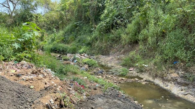 Arroyo El Polón