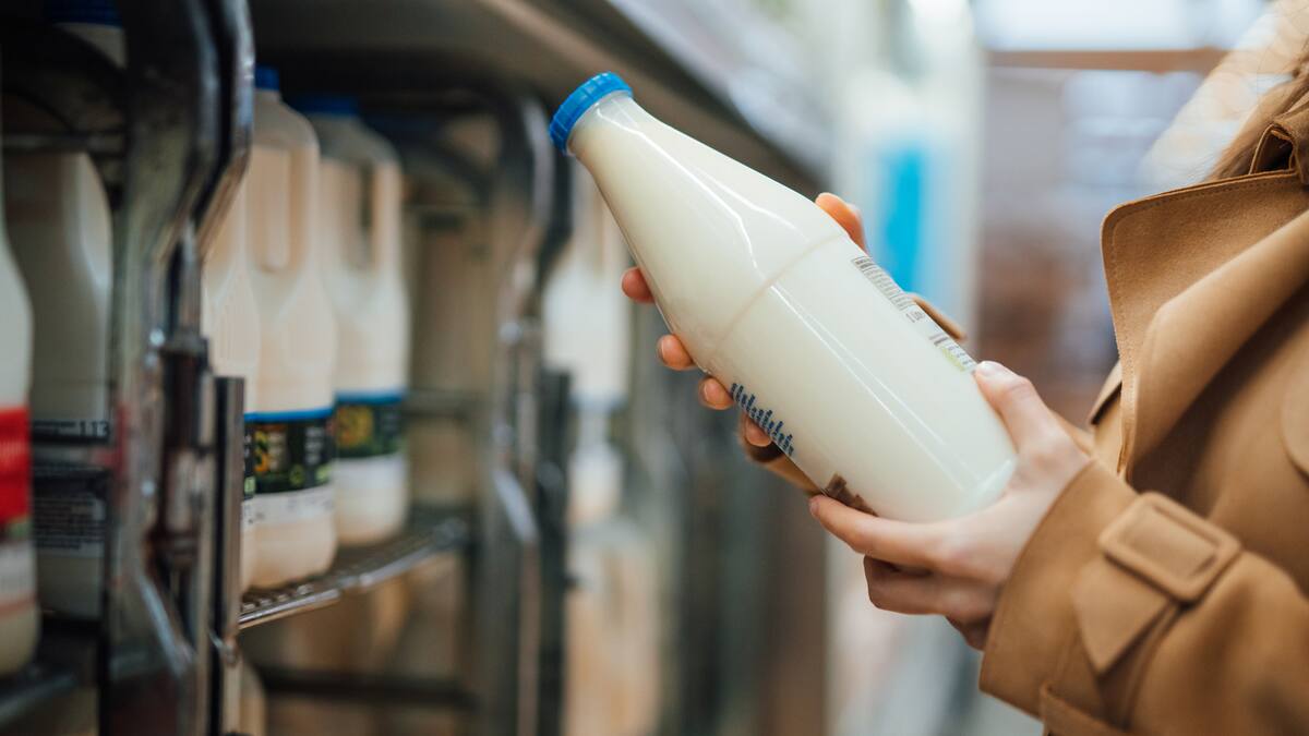 Productores y procesadores de leche explican sus puntos de vista sobre crisis del sector