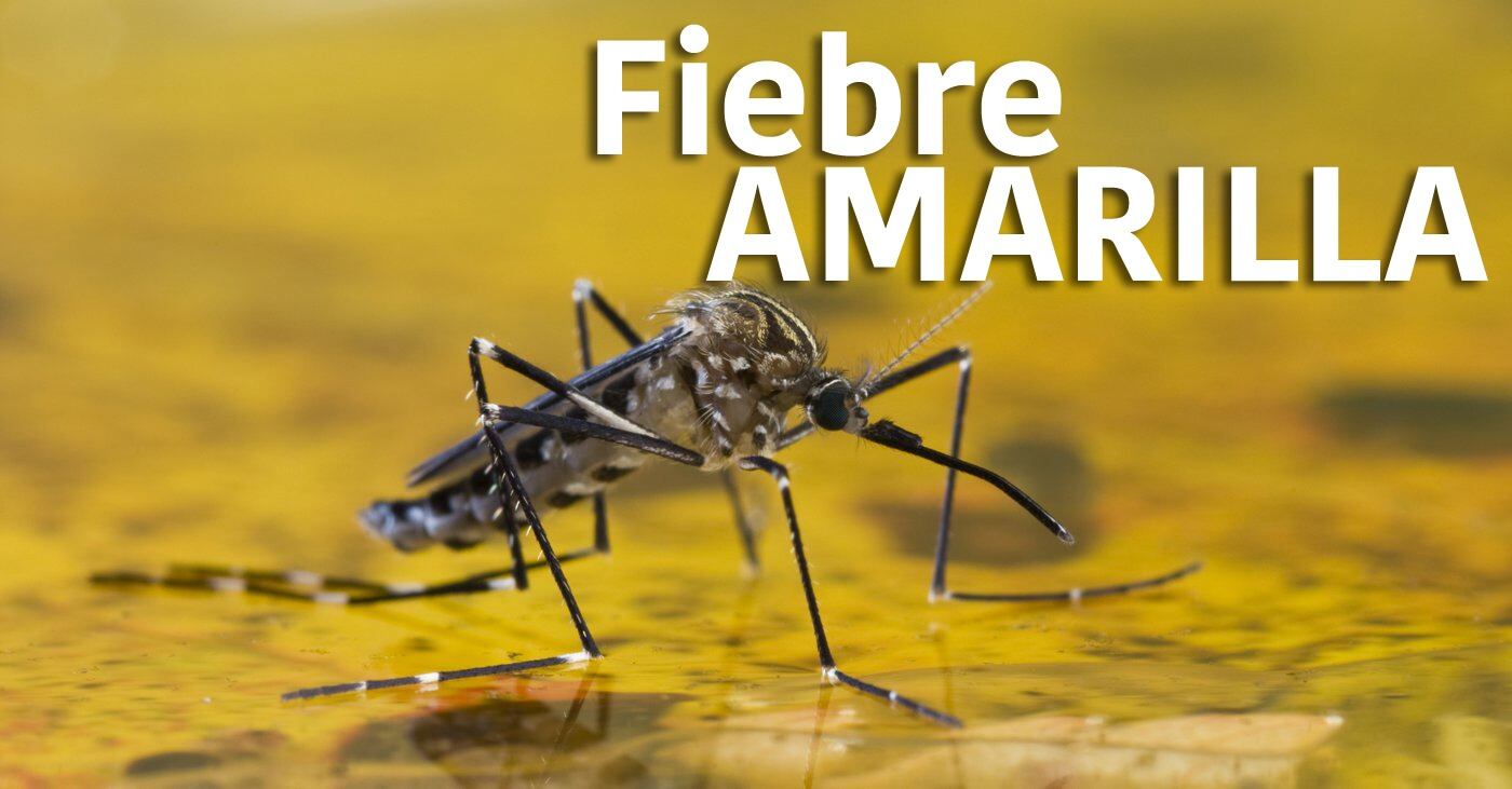 Desde la Secretaría de Salud del Huila, se envía un parte de tranquilidad.