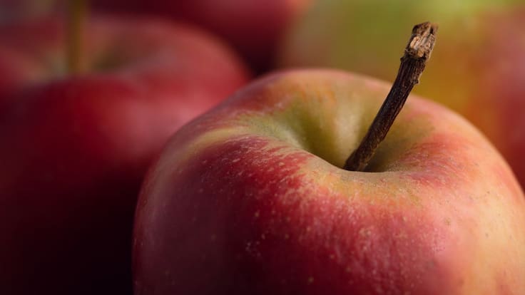 ¿Cómo cuidar correctamente tu riñón?