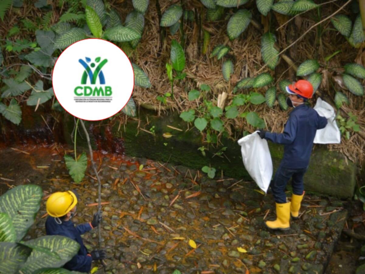 Bucaramanga: CDMB investiga presencia de combustibles en la quebrada del Macho en el Diamante