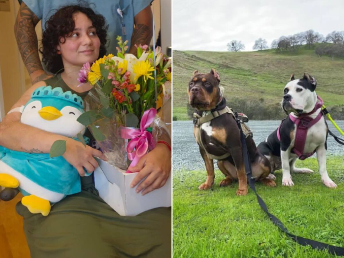 Santandereana atacada por perros en EE. UU. salió del hospital: así logró sobrevivir