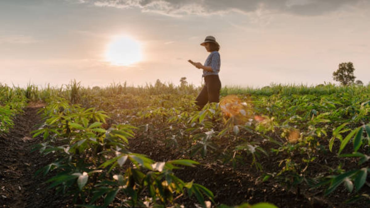 Sector agropecuario coordina ayudas para damnificados por terremoto