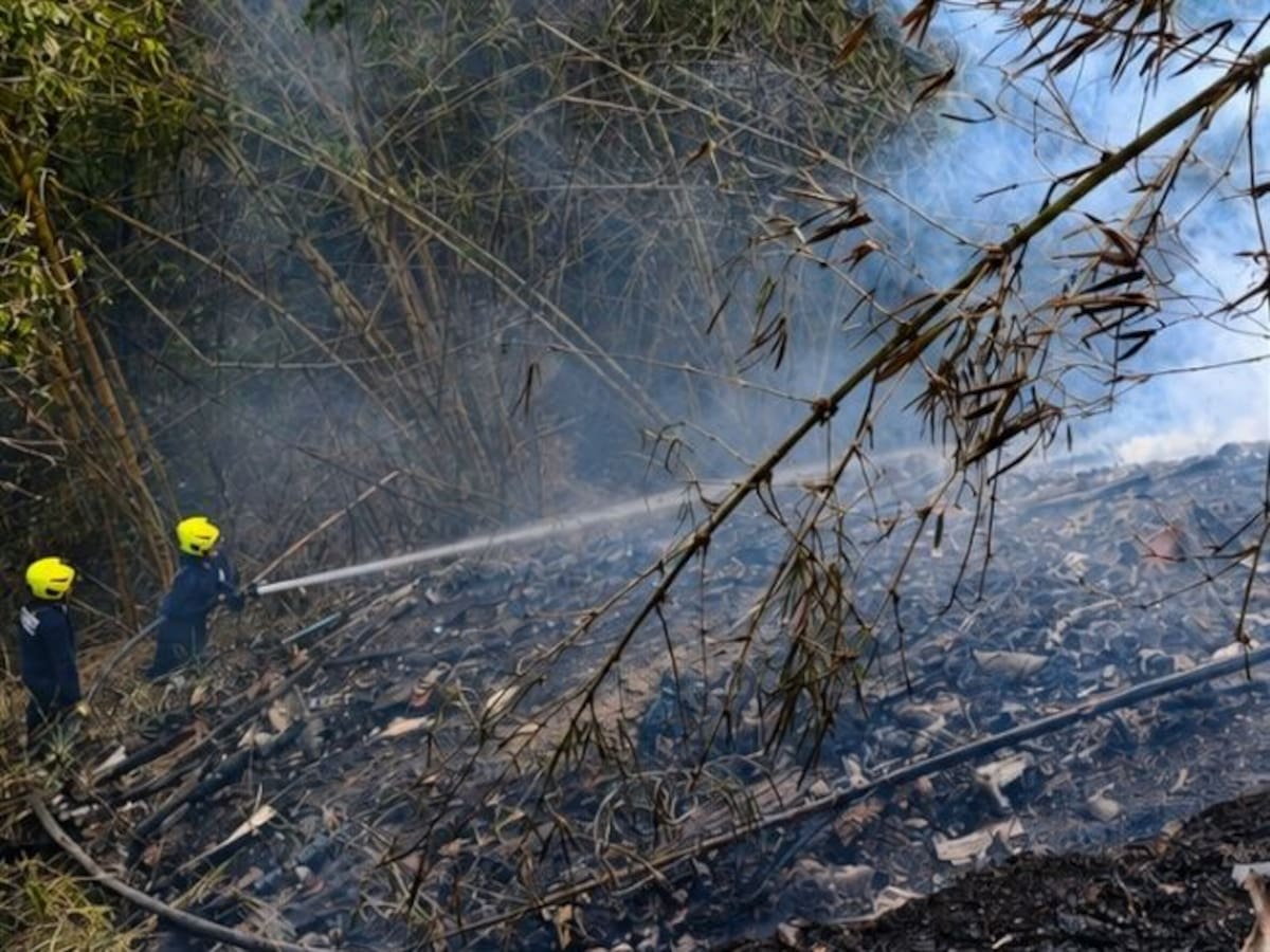 En Bucaramanga se han registrado 81 incendios: 53 fueron forestales