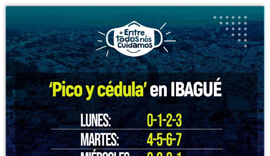 suministrada Alcadlía de Ibagué