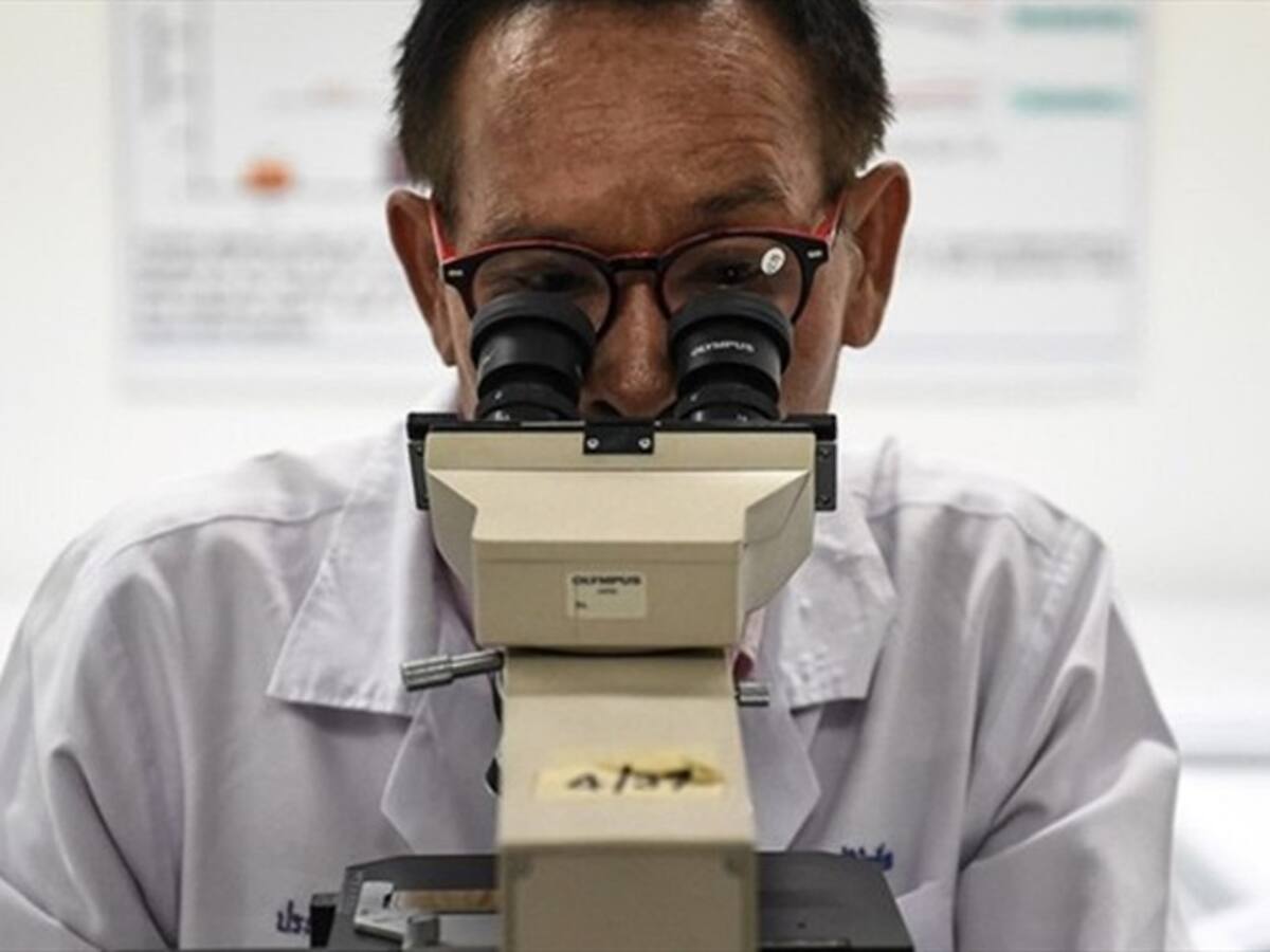 Con este gobierno no teníamos ningún futuro: investigadora senior de Colciencias