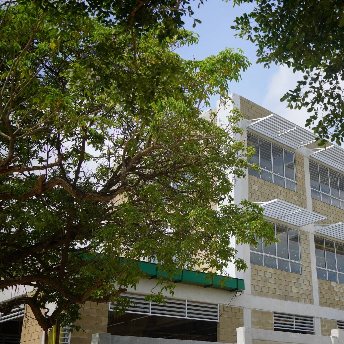 Von Humboldt, el mejor colegio público de Colombia también sin servicio de energía