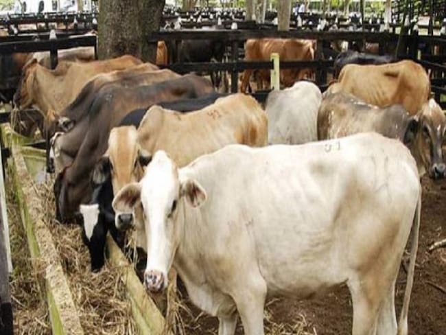 Secuestran al ganadero Jaime Rueda en Casanare