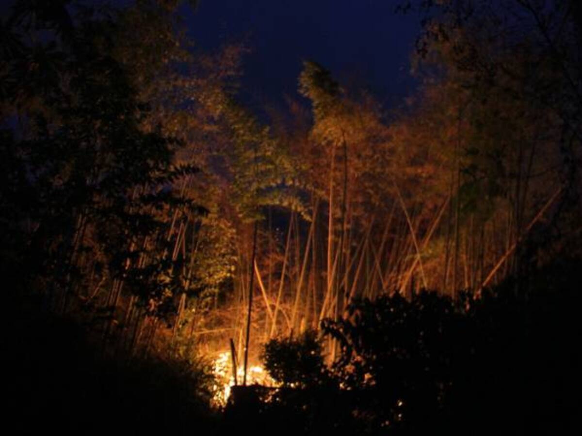 Alerta en algunas zonas de Tolima por incendios forestales