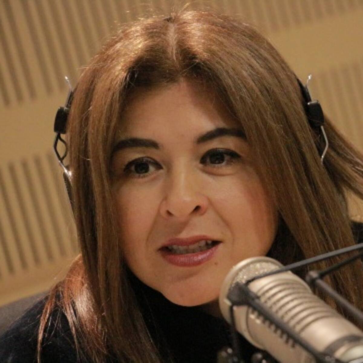 Alexandra Montoya, de La Luciérnaga, aclara incidente de personas que intentaron robar a su hijo