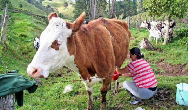Sectores económicos plantean nuevas propuestas. 