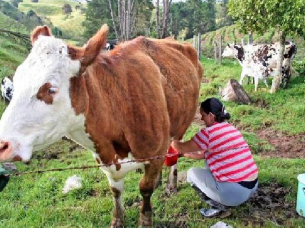 BID y Nestlé de Colombia firman acuerdo por 1,5 millones de dólares