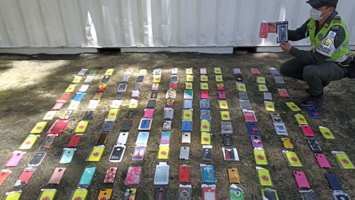 Aprehenden mercancía de contrabando avaluada en $534 millones