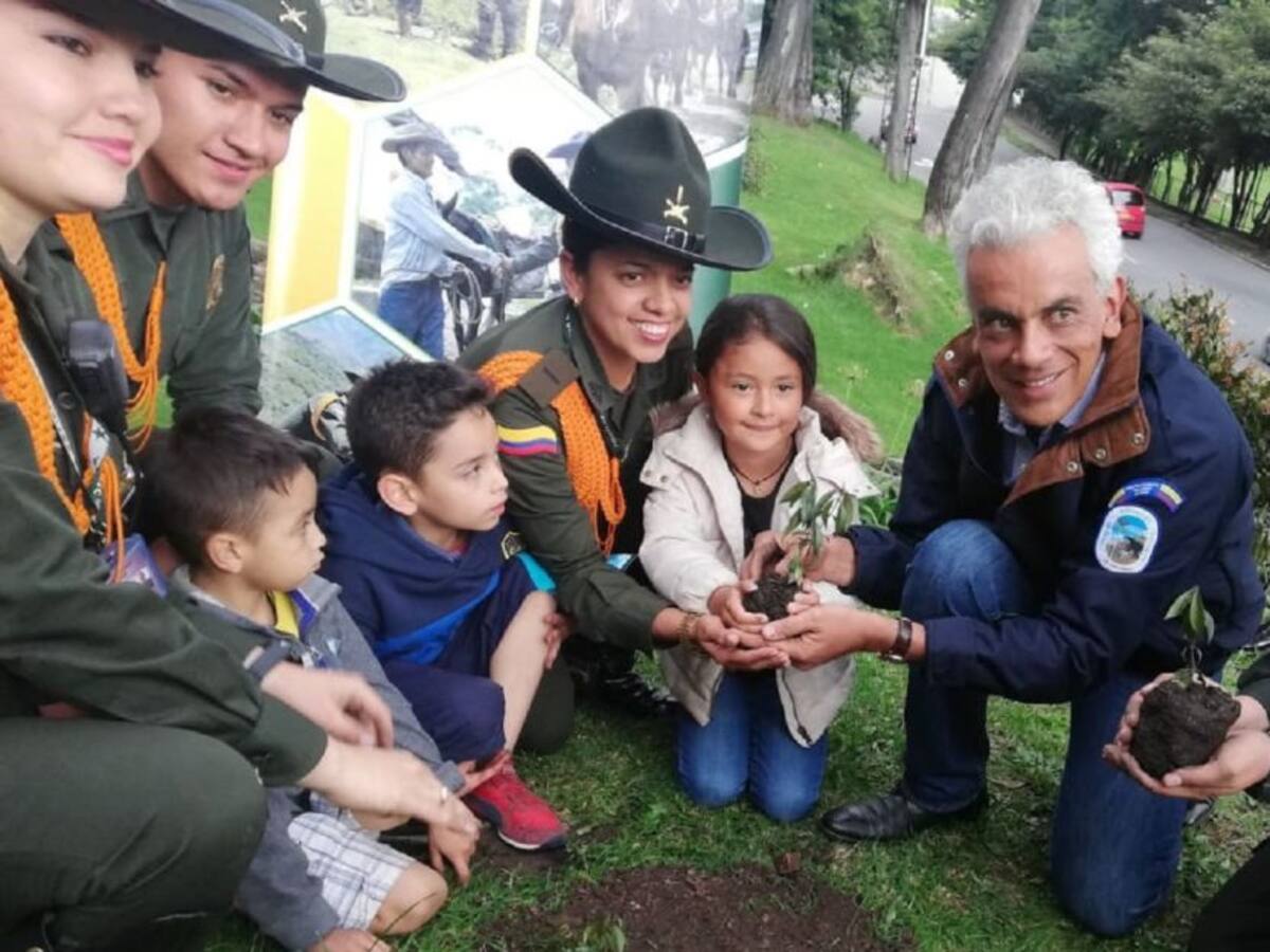 MinAmbiente anuncia gran jornada nacional de siembra de árboles
