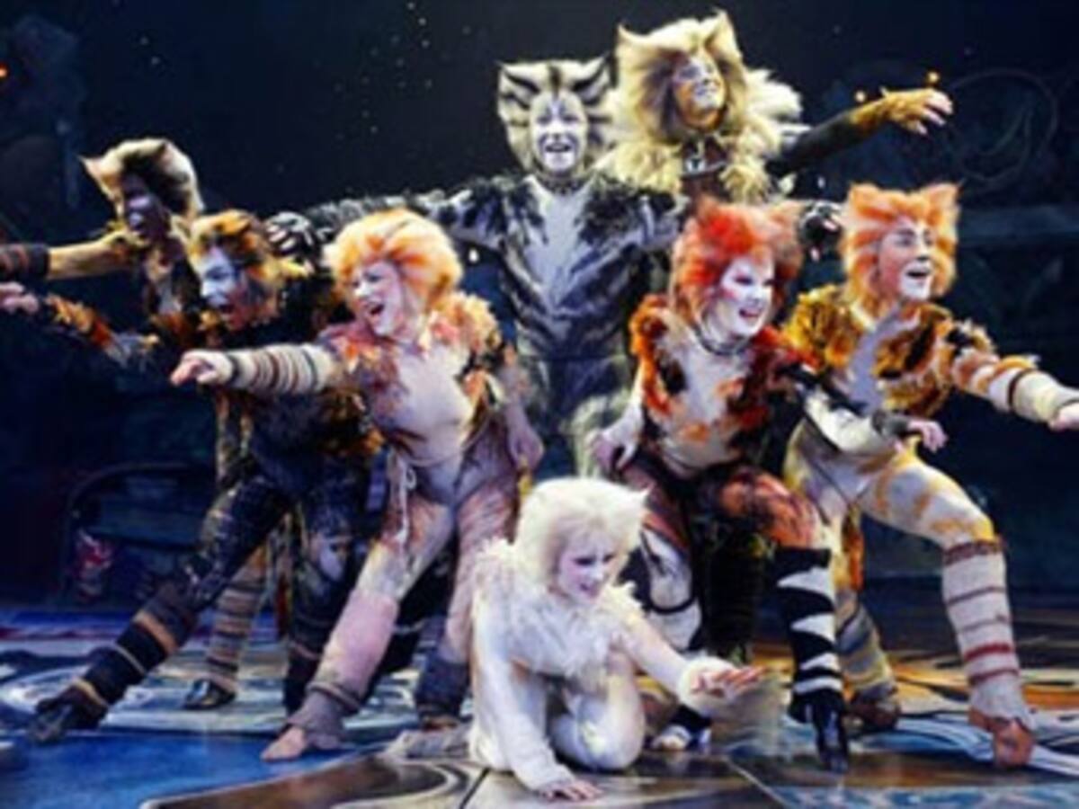 Cats: el musical original de Broadway ya está en Colombia