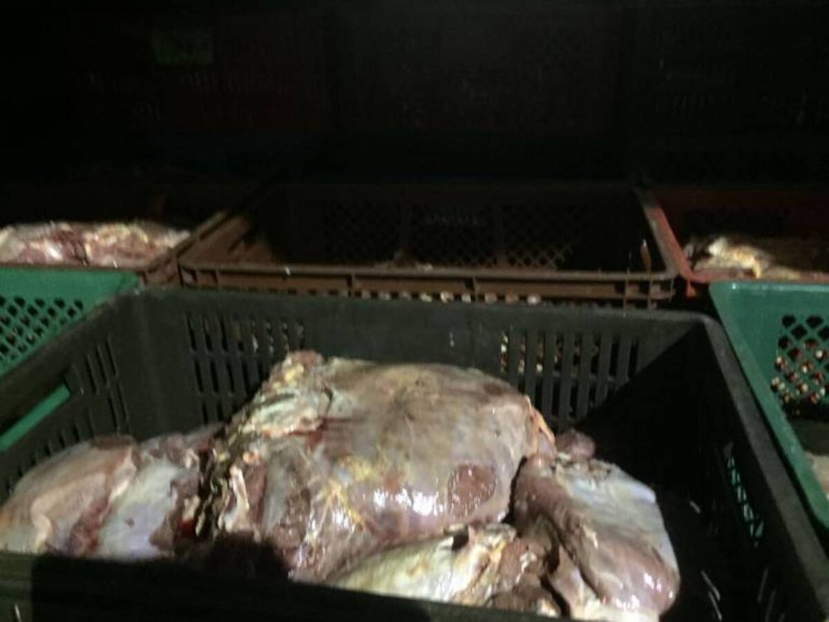Incautan dos toneladas de carne en descomposición en Antioquia