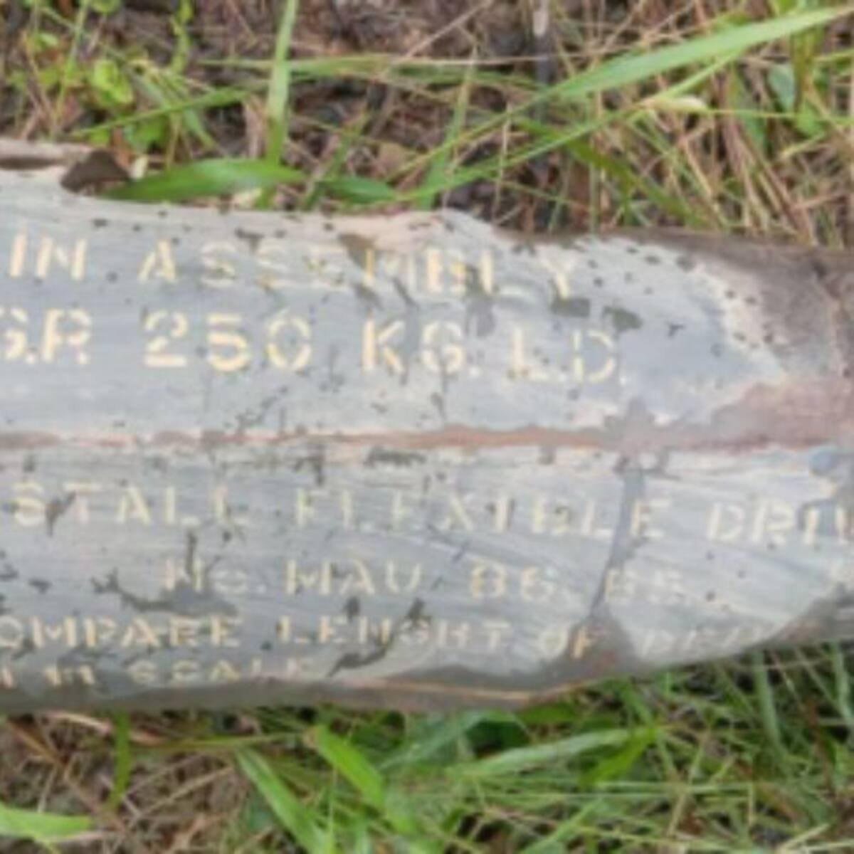 Habitantes de Jardines de Sucumbíos afirman que explosivo cayó el 3 de marzo: Inspectora de Policía