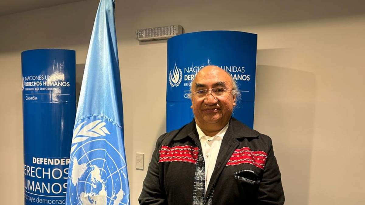 “Los niños indígenas en Colombia se están suicidando para no ser reclutados”: ONU