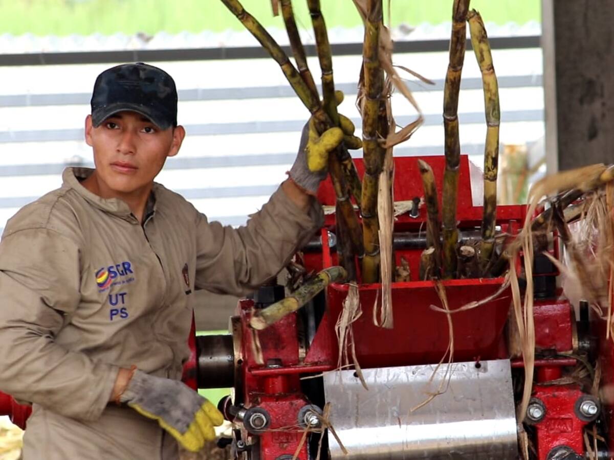 Gobierno del Huila ratifica su compromiso con el sector panelero