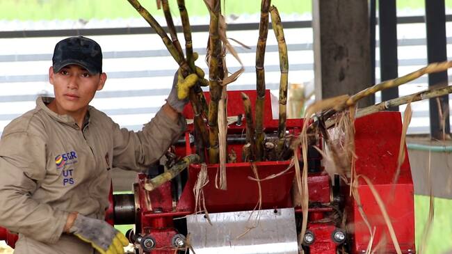 Gobierno del Huila ratifica su compromiso con el sector panelero