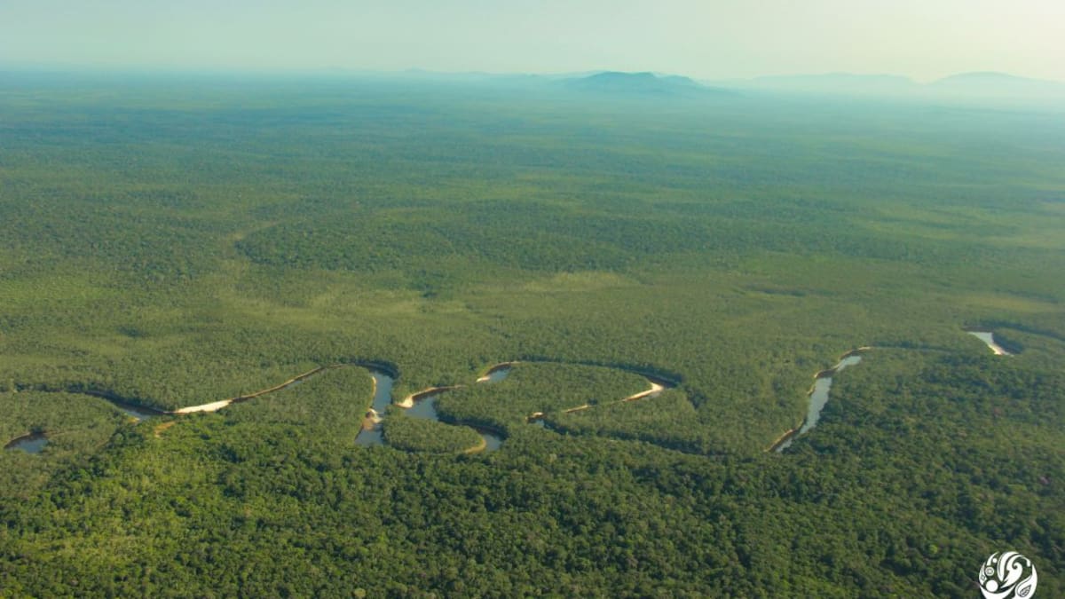 ¿Por qué debe importarnos la Amazonía?