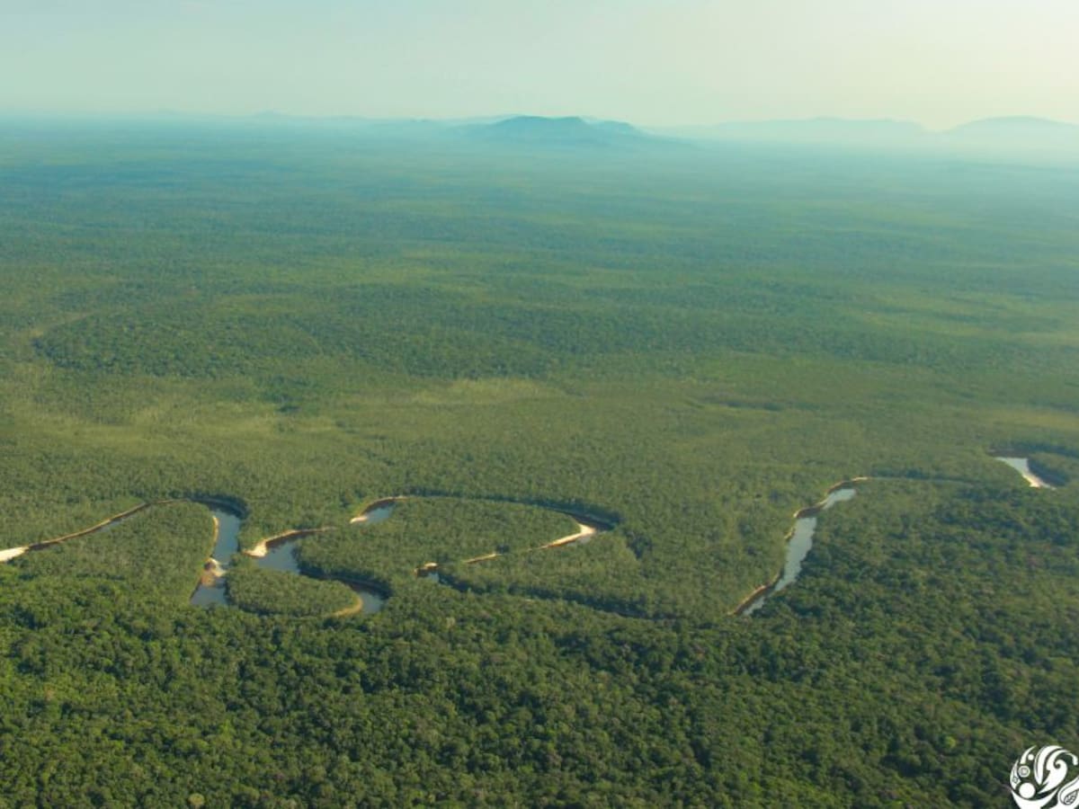 ¿Por qué debe importarnos la Amazonía?