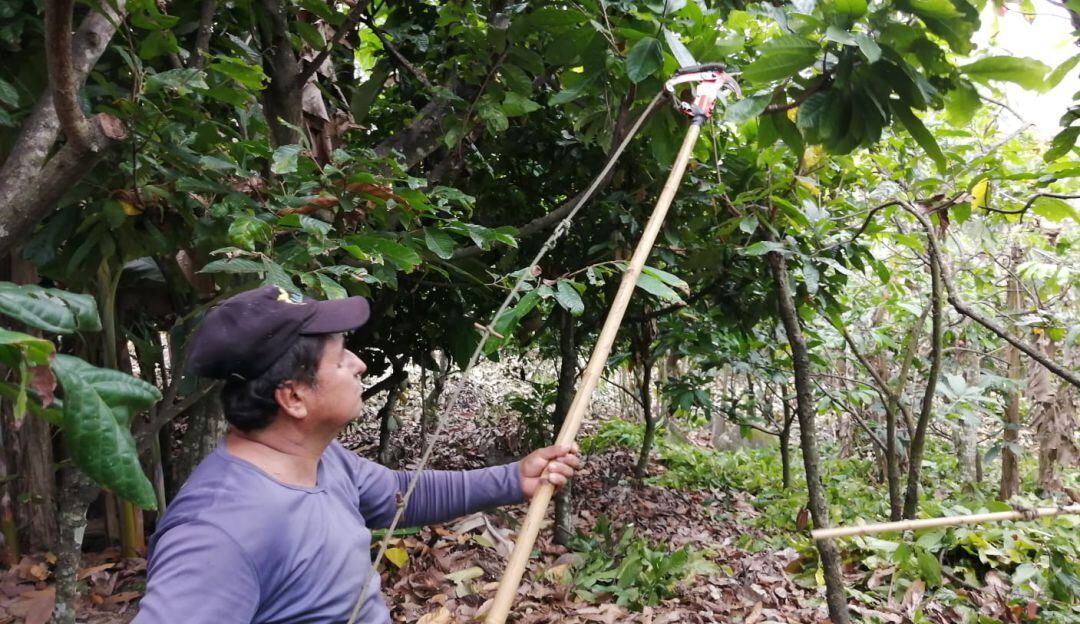 Se espera que estas iniciativas contribuyan a la reactivación de la economía en el departamento