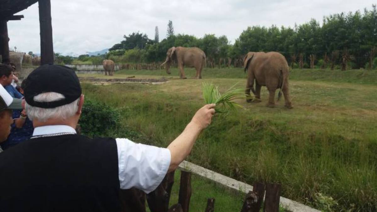 El obispo bendijo los animales de Ukumarí