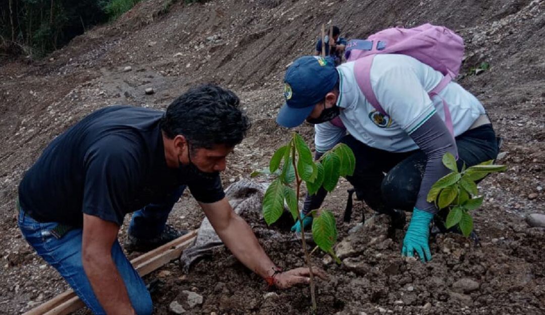 Siembra de árboles en el lugar donde murieron 11 mineros