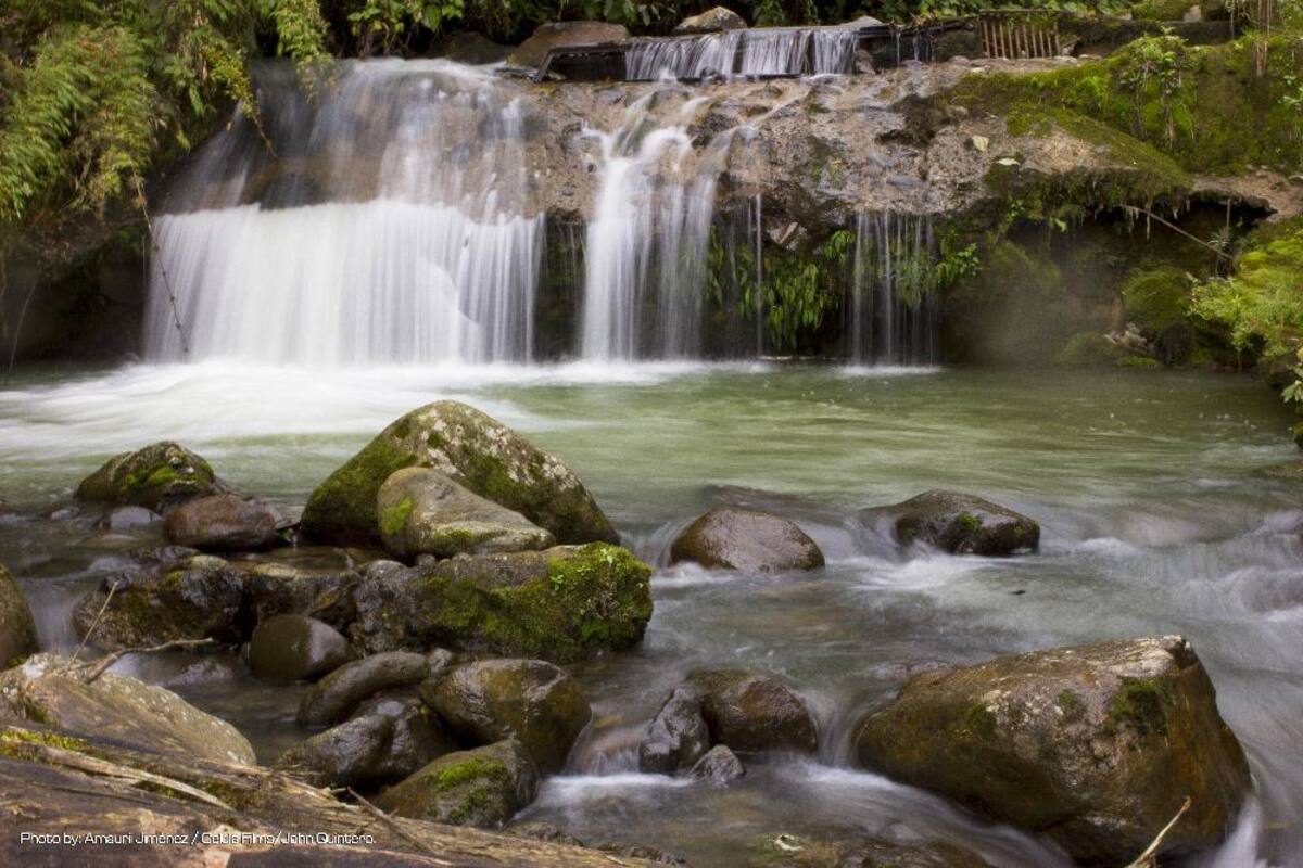En estas piscinas termales, ubicadas en Santa Rosa de Cabal, se sentirá el placer del calor y las sales naturales; más que entretenimiento proporciona salud y bienestar.