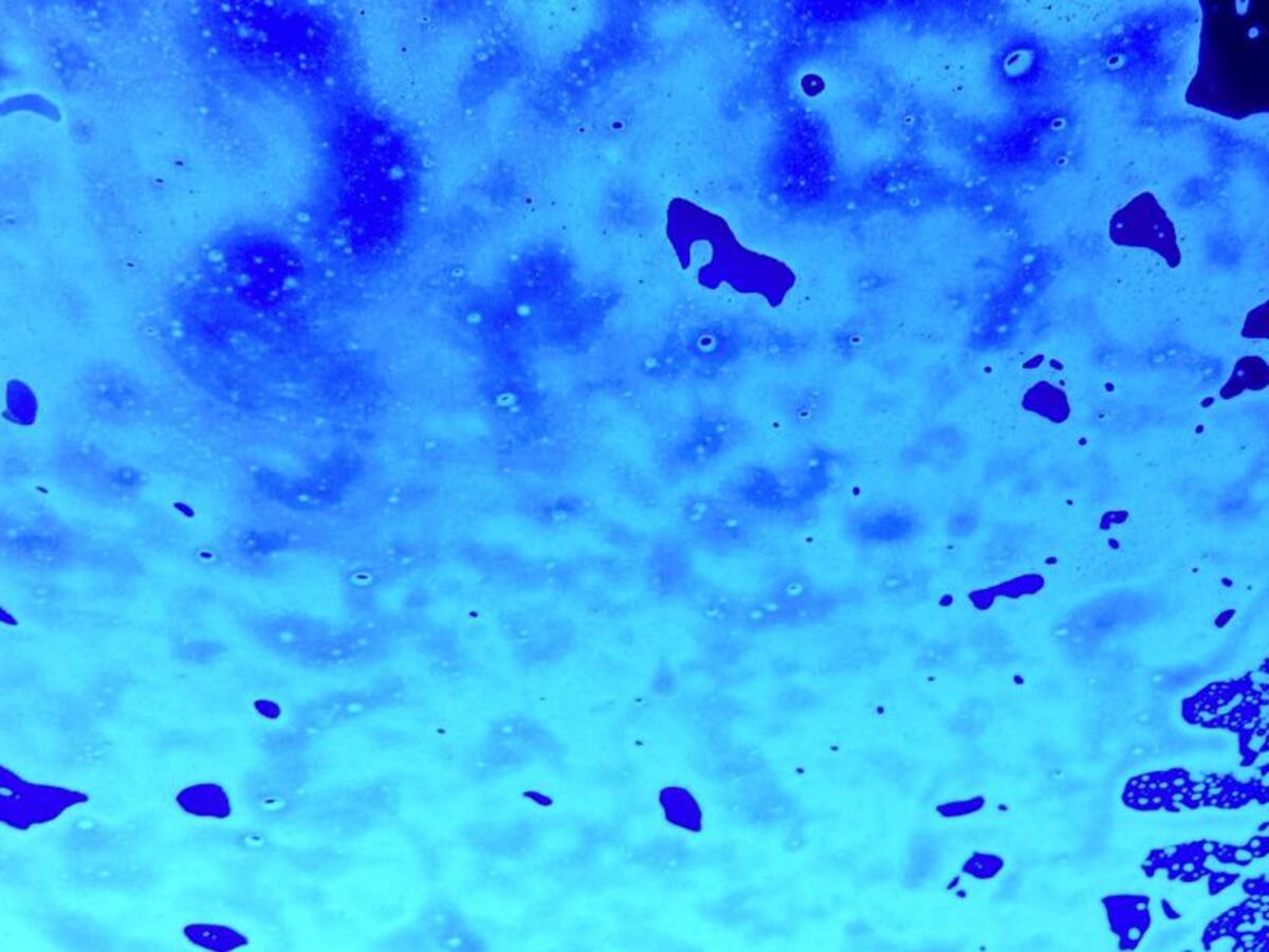 Descubren más de 5.500 nuevos virus en el océano por calentamiento global